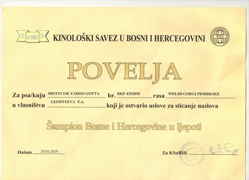 Чемпион Боснии и Герцеговины - диплом Тамерлана