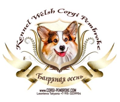 Логотип питомника Вельш Корги Пемброк Багряная осень.